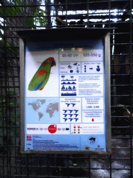 Explanation on the Red-fronted Macaw at the Loro Parque zoo