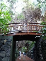 Bridge and trees at the Loro Parque zoo