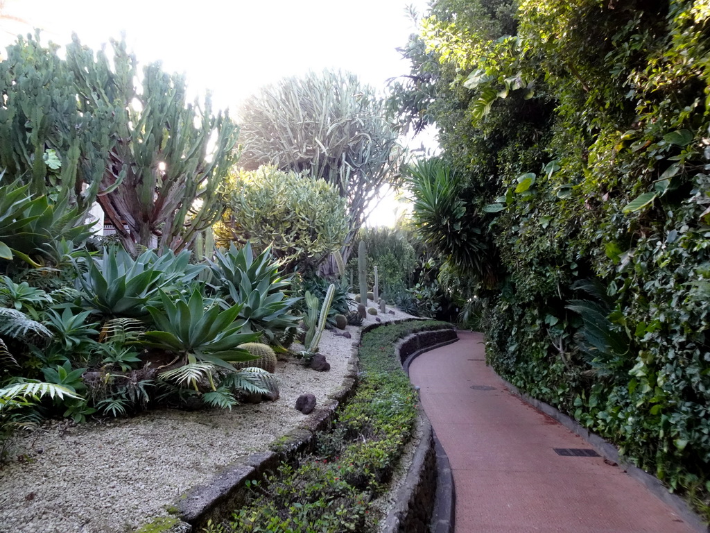 Trees, plants and path at the Loro Parque zoo