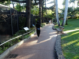 Miaomiao on a path with birdcages at the Loro Parque zoo