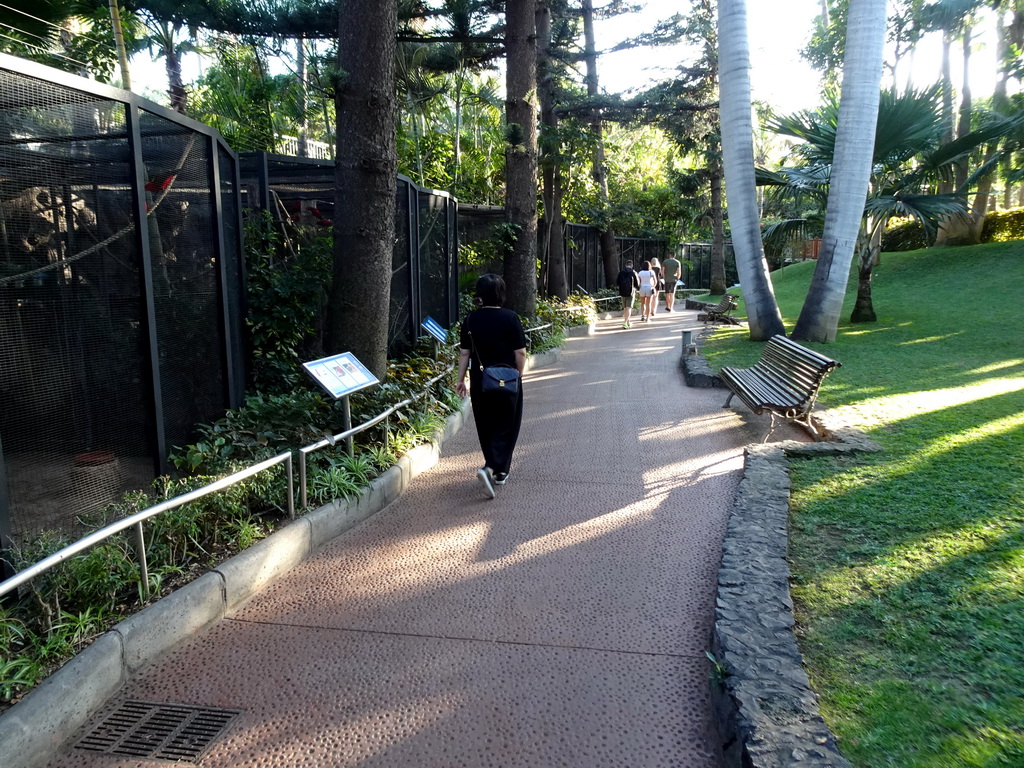 Miaomiao on a path with birdcages at the Loro Parque zoo