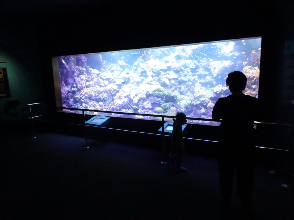 Miaomiao and Max at the Aquarium at the Loro Parque zoo