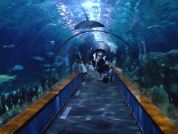 Underwater tunnel at the Aquarium at the Loro Parque zoo