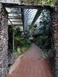 Interior of the Orchidarium at the Loro Parque zoo