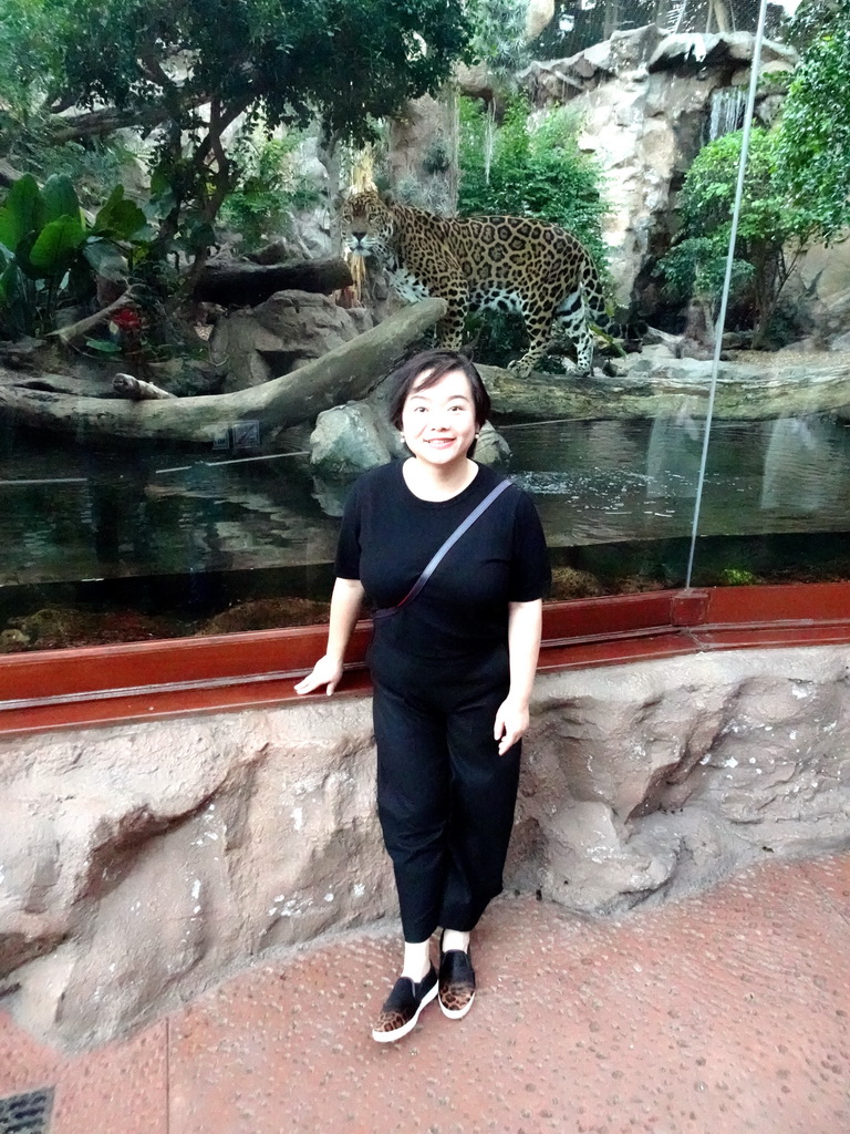 Miaomiao with a Panther at the Loro Parque zoo