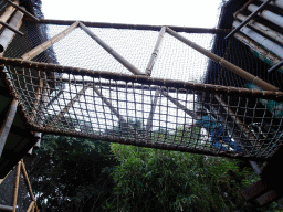 Max at the Kinderlandia playground at the Loro Parque zoo