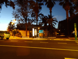 The Carretera General Puerto Cruz - Arenas street, viewed from the rental car, by night