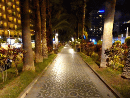 Pedestrian street at the Avenida Aguilar y Quesada street, by night