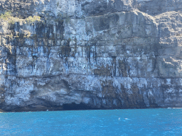Cave at the coastline, viewed from the Sagitarius Cat boat