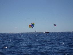 Parasails and boat, viewed from the Sagitarius Cat boat