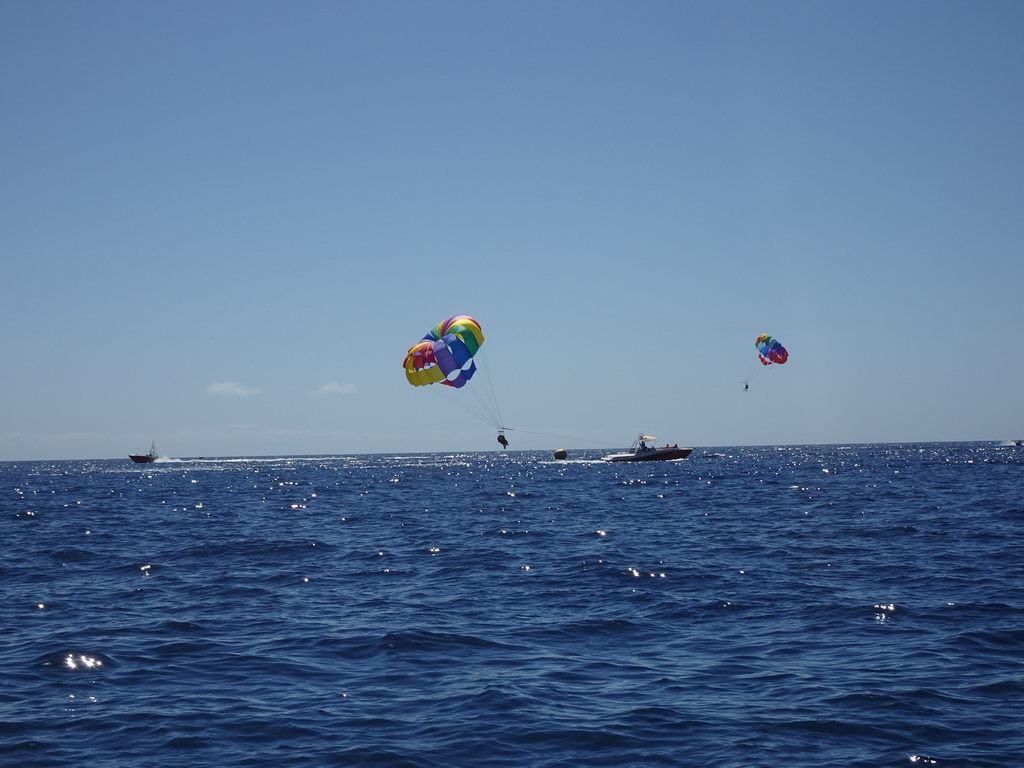 Parasails and boat, viewed from the Sagitarius Cat boat
