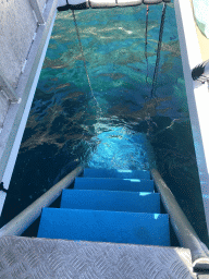 Staircase to the water, viewed from the Sagitarius Cat boat
