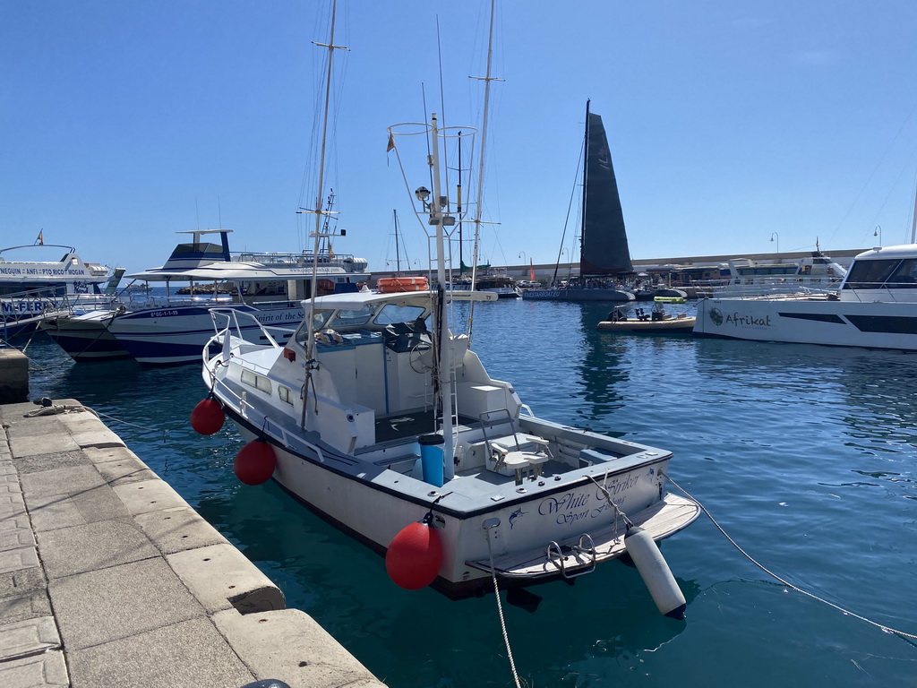 Boats in the harbour