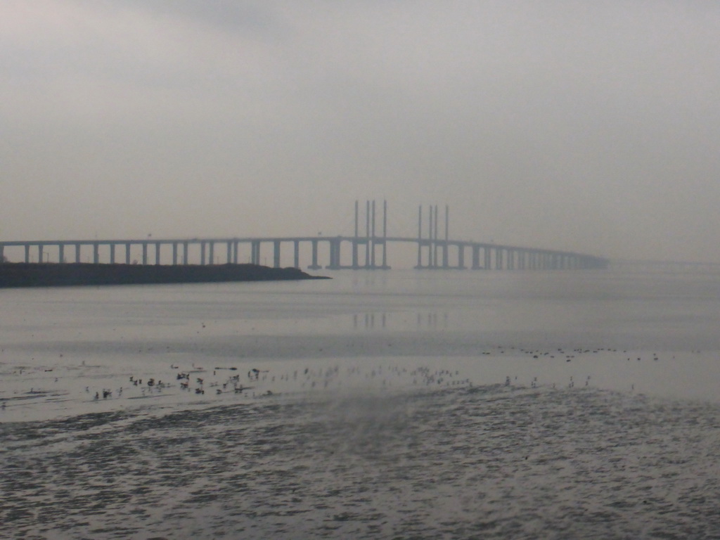 The Jiaozhou Bay Bridge, viewed from the bus from Yantai