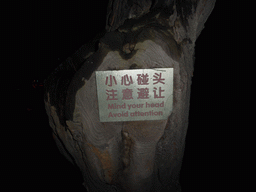 Chinglish sign at a tree at Taiping Road, by night