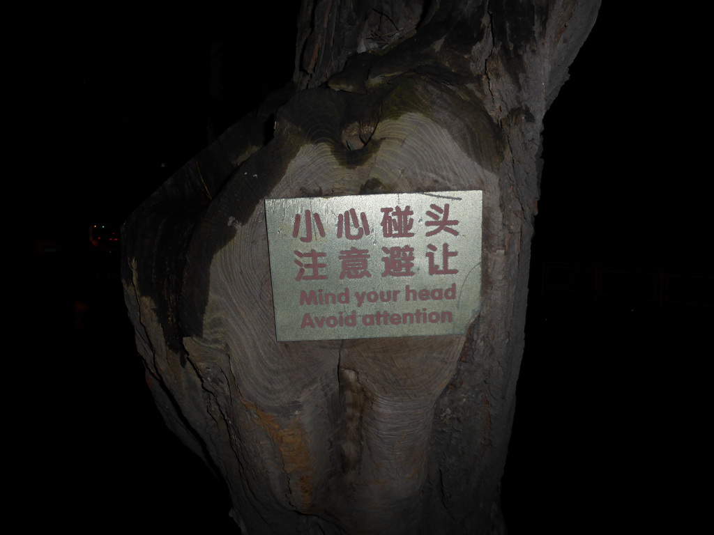 Chinglish sign at a tree at Taiping Road, by night