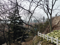 Skyscrapers at the city center, viewed from the Xinhaoshan Park