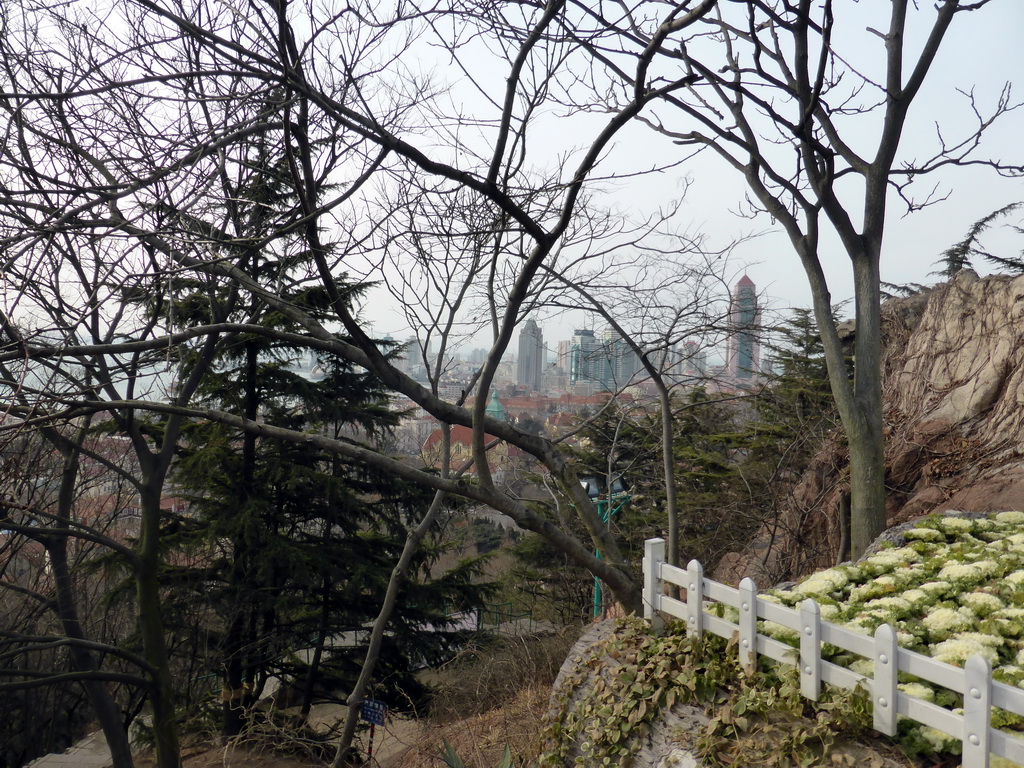 Skyscrapers at the city center, viewed from the Xinhaoshan Park