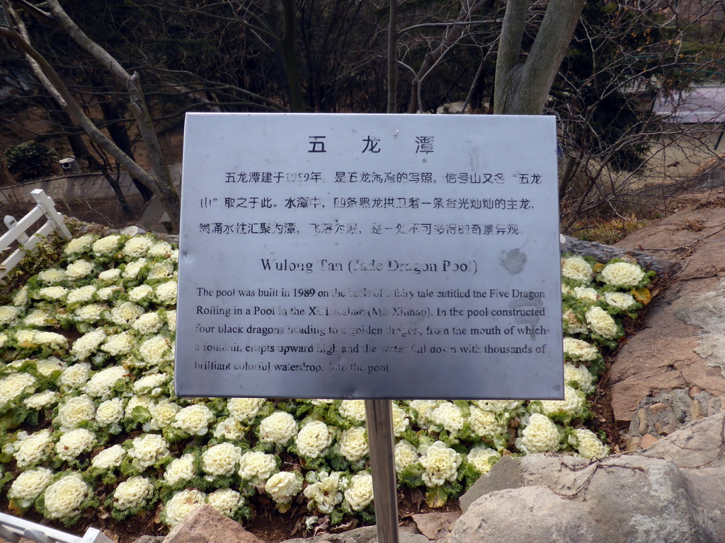 Information on the Jade Dragon Pool at the Xinhaoshan Park