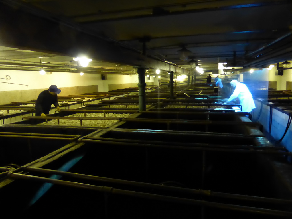 Machinery with a hologram, at the Tsingtao Beer Museum