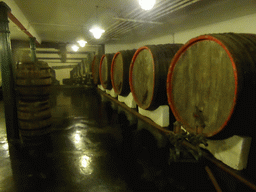 Beer barrels at the Tsingtao Beer Museum