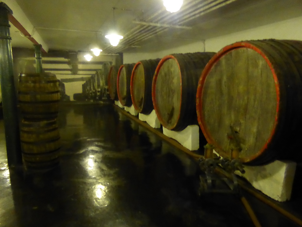 Beer barrels at the Tsingtao Beer Museum