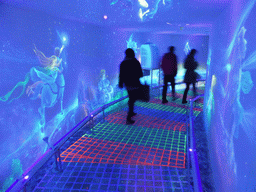 Miaomiao in the blue light corridor at the highest indoor level at the Qingdao TV Tower