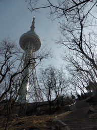 The Qingdao TV Tower and Tim on the path on the north side