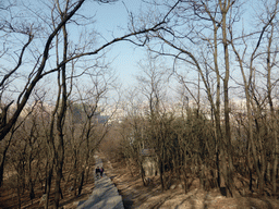 The path on the north side of the Qingdao TV Tower