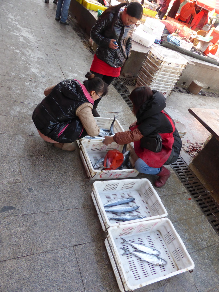 Fish at the Julinshan Market