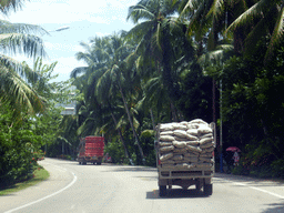 Trucks on the 223 National Road at the southwest side of the city, viewed from the car