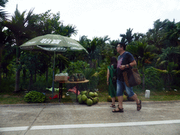 People selling coconuts, pineapples and bananas along the G233 National Road to Sanya, viewed from the car
