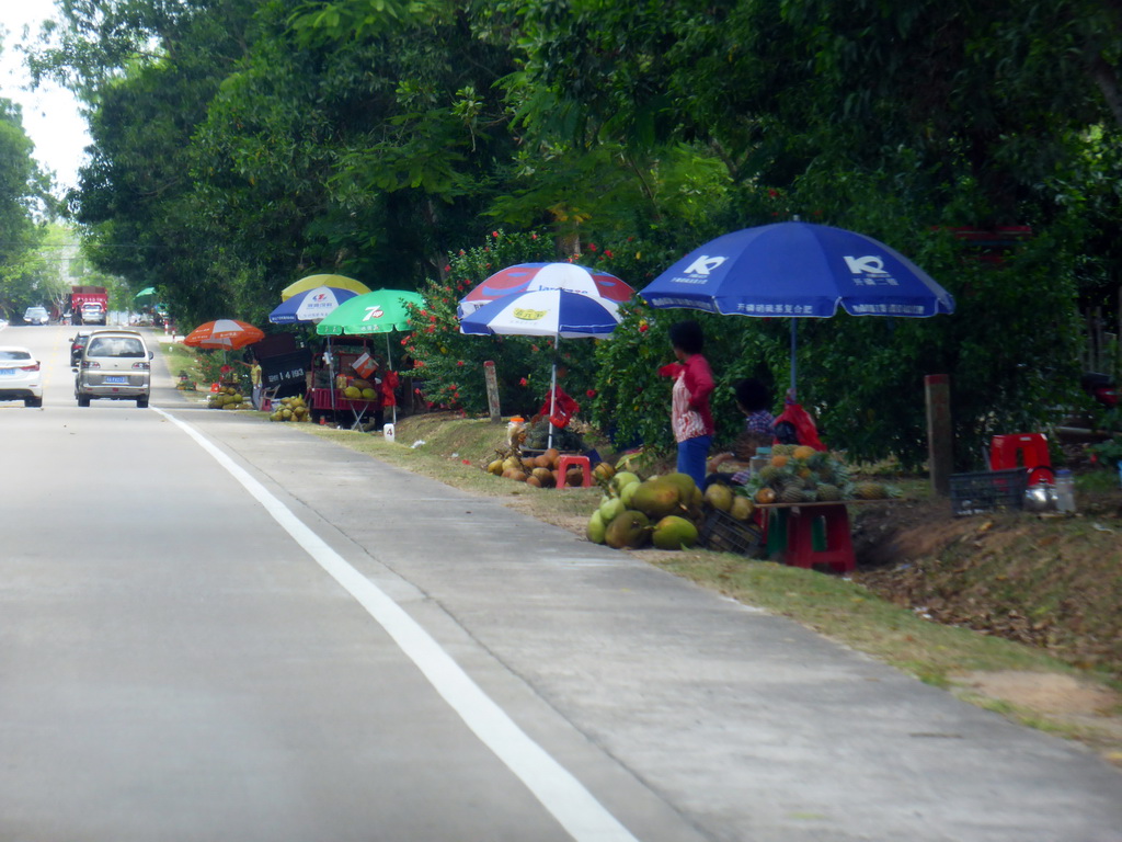 People selling fruits along the G98 Hainan Ring Road Expressway to Sanya, viewed from the car