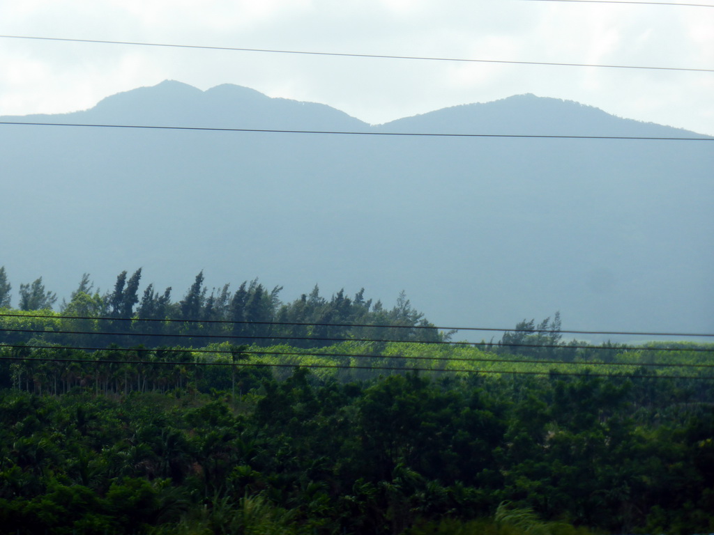 Trees and mountains, viewed from the car on the G98 Hainan Ring Road Expressway to Sanya