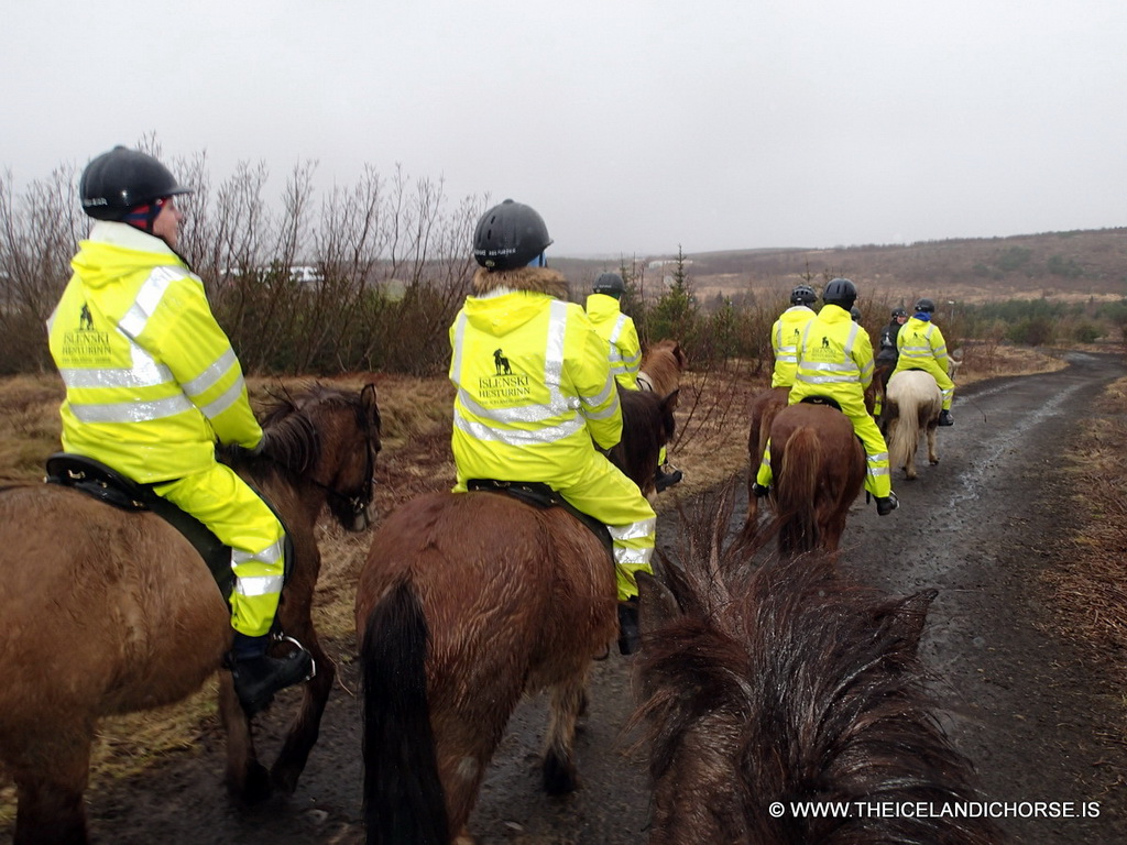 Miaomiao and our tour group on icelandic horses at the east side of the city