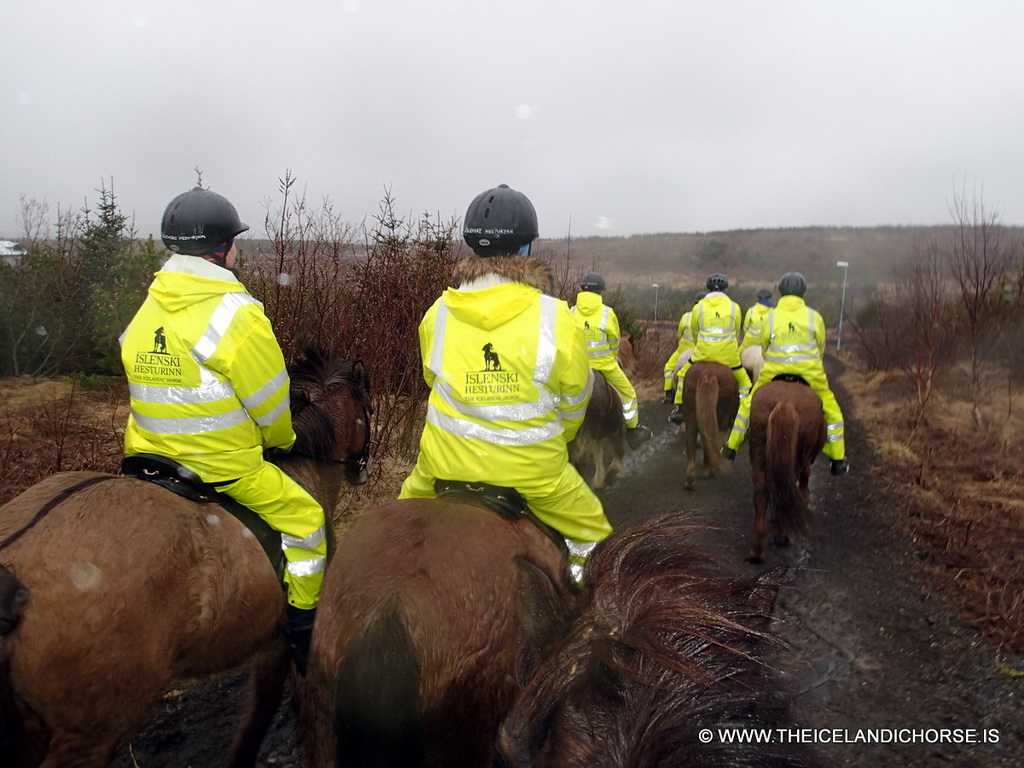 Miaomiao and our tour group on icelandic horses at the east side of the city