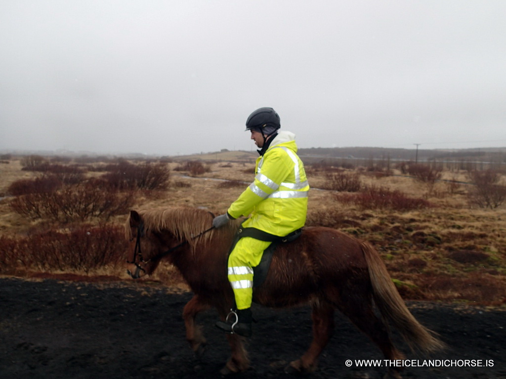 Tim on an icelandic horse at the east side of the city