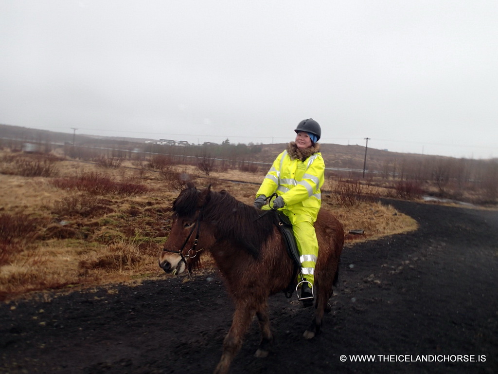 Miaomiao on an icelandic horse at the east side of the city