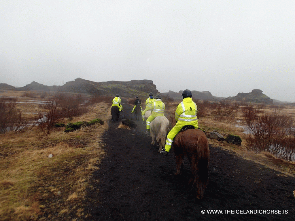 Tim and Miaomiao on icelandic horses at the east side of the city