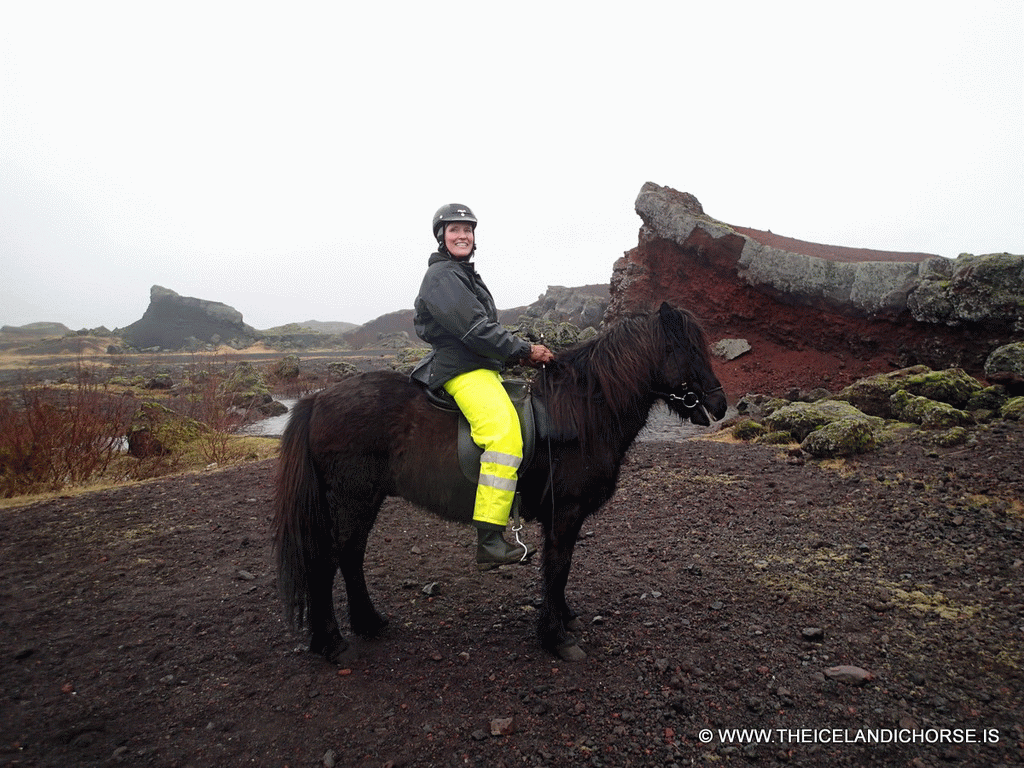 Our tour guide on an icelandic horse at the east side of the city