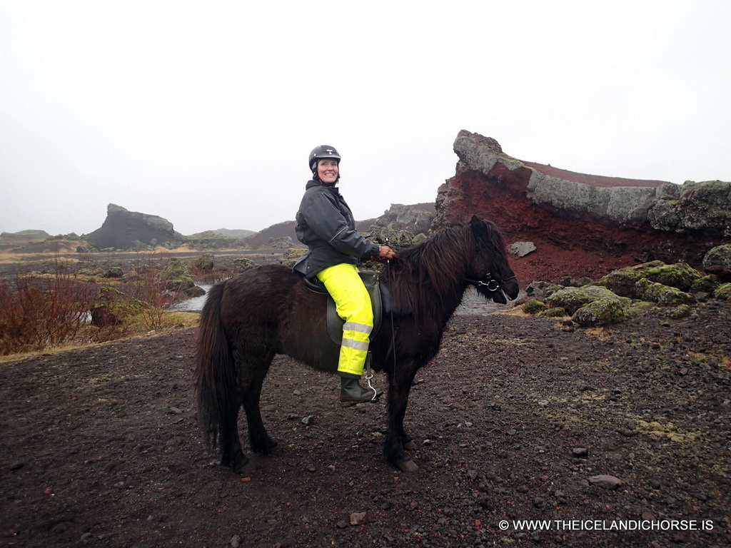 Our tour guide on an icelandic horse at the east side of the city