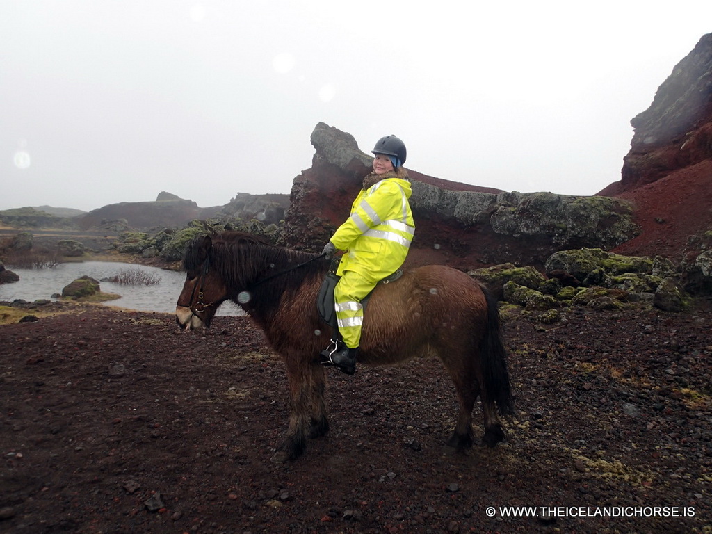 Miaomiao on an icelandic horse at the east side of the city