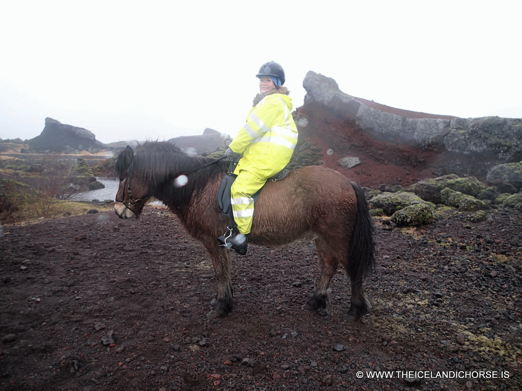 Miaomiao on an icelandic horse at the east side of the city