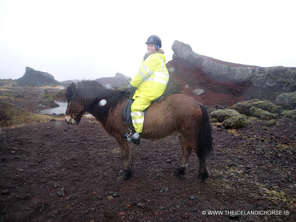 Miaomiao on an icelandic horse at the east side of the city