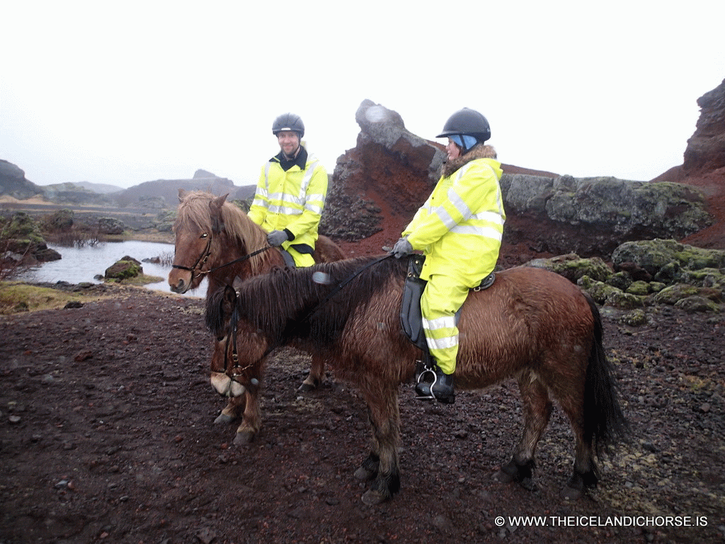Tim and Miaomiao on icelandic horses at the east side of the city