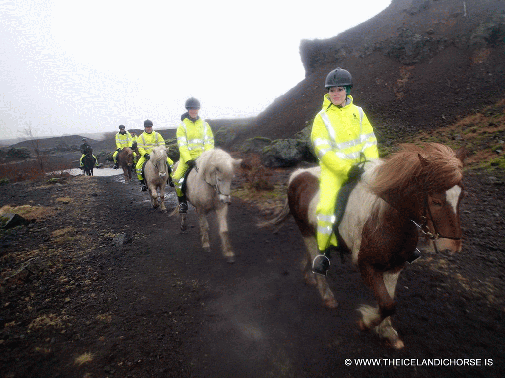 Our tour group on icelandic horses at the east side of the city