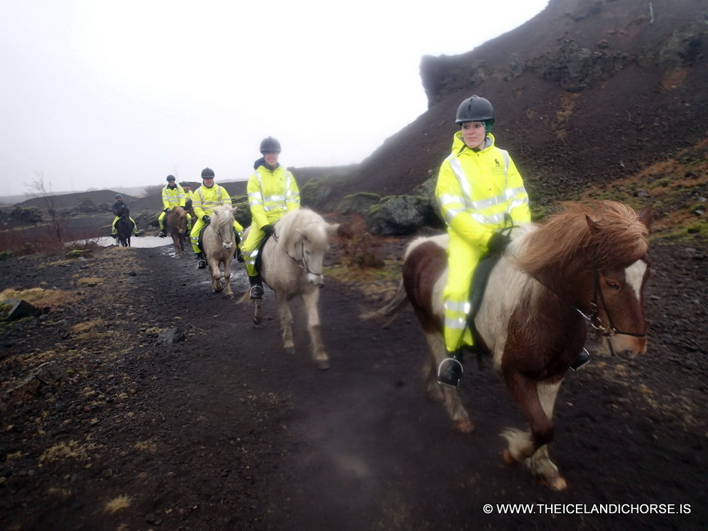 Our tour group on icelandic horses at the east side of the city
