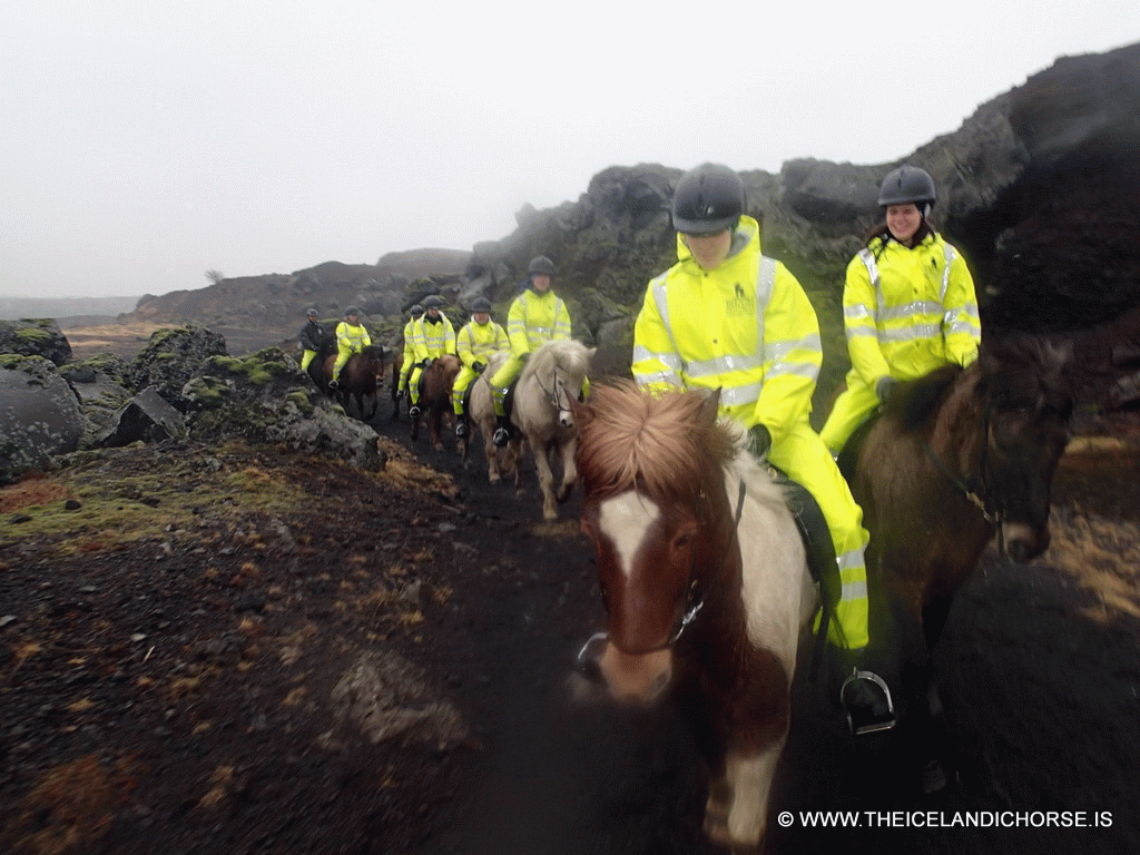 Our tour group on icelandic horses at the east side of the city