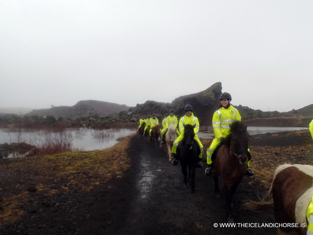 Our tour group on icelandic horses at the east side of the city