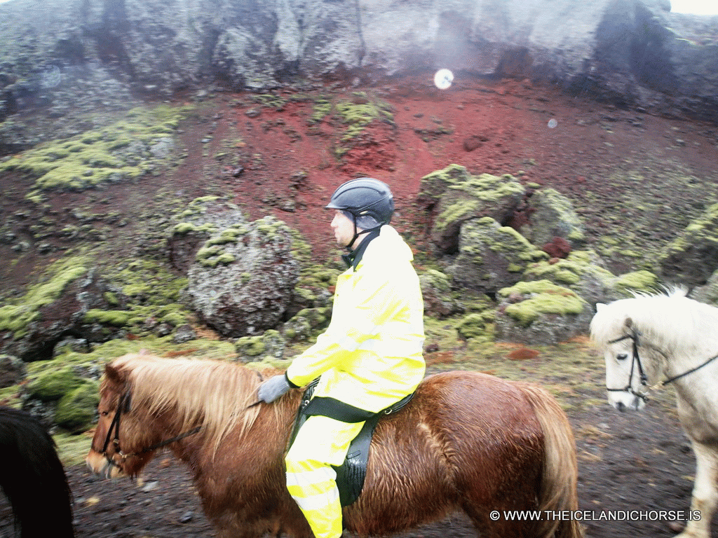 Tim on an icelandic horse at the east side of the city